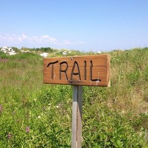 Team Page: Merrohawke Board of Directors